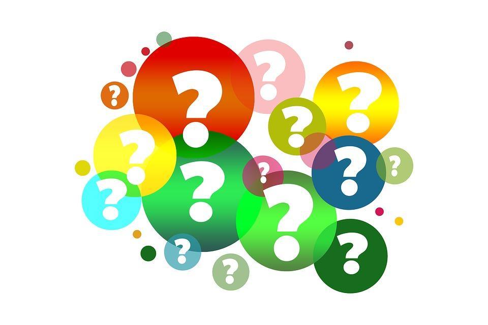 Mystery Bow Free with the Purchase of Any Bow During Flash Sale