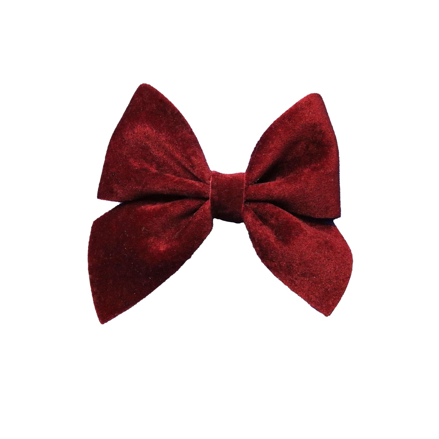 2.75 inch Cabernet Velvet Ladylike Bow