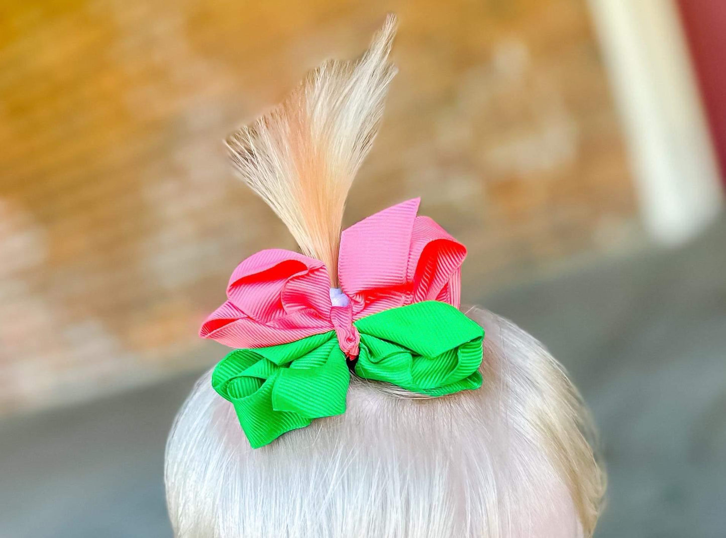 Two-toned Green & Salmon Double Ribbon Bow 4"